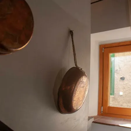 Mycosyretreatinanguillara *